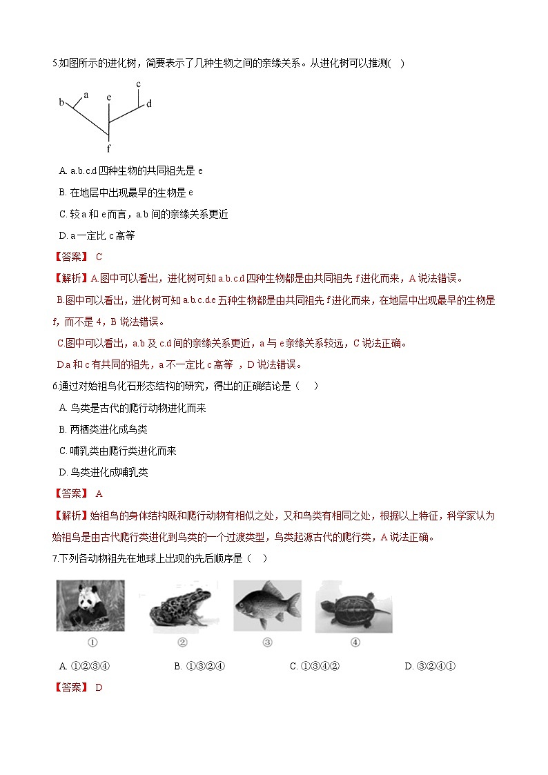 人教版八年级生物下册7.3.2生物进化的历程练习题03