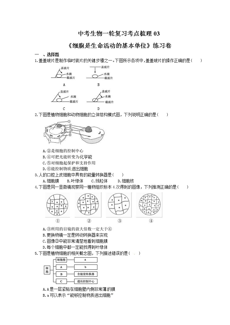 中考生物一轮复习考点梳理03《细胞是生命活动的基本单位》练习卷（含答案）第1页