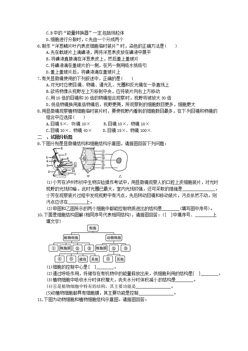 中考生物一轮复习考点梳理03《细胞是生命活动的基本单位》练习卷（含答案）第2页