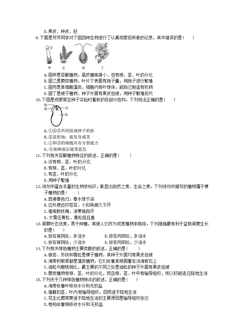 中考生物一轮复习考点梳理05《生物圈中有哪些绿色植物》练习卷（含答案）第2页