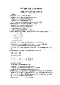 中考生物一轮复习考点梳理04《细胞怎样构成生物体》练习卷（含答案）