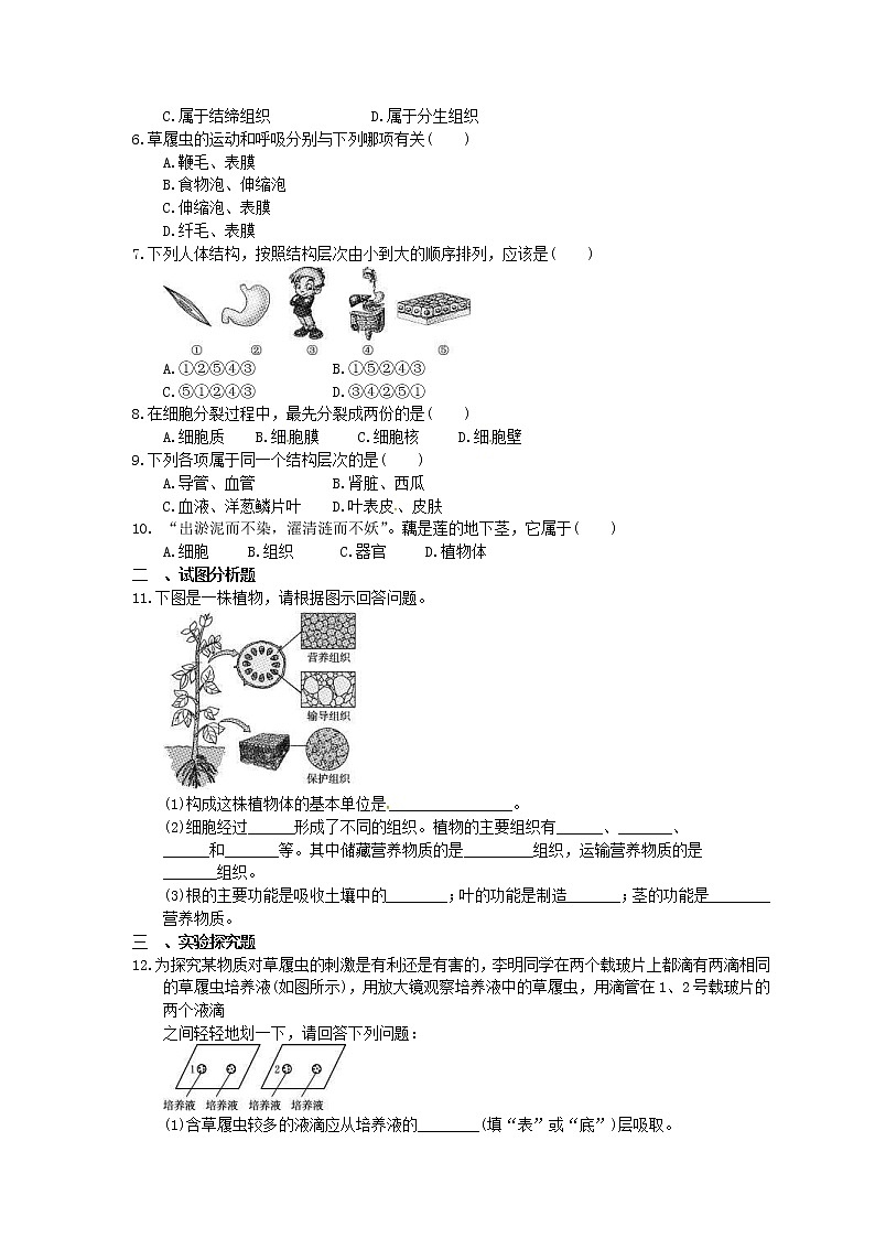 中考生物一轮复习考点梳理04《细胞怎样构成生物体》练习卷（含答案）第2页