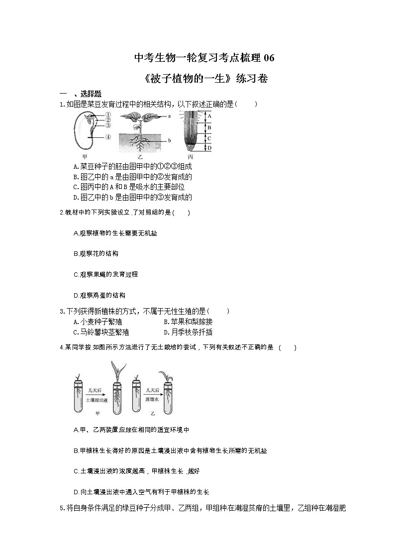 中考生物一轮复习考点梳理06《被子植物的一生》练习卷（含答案）第1页