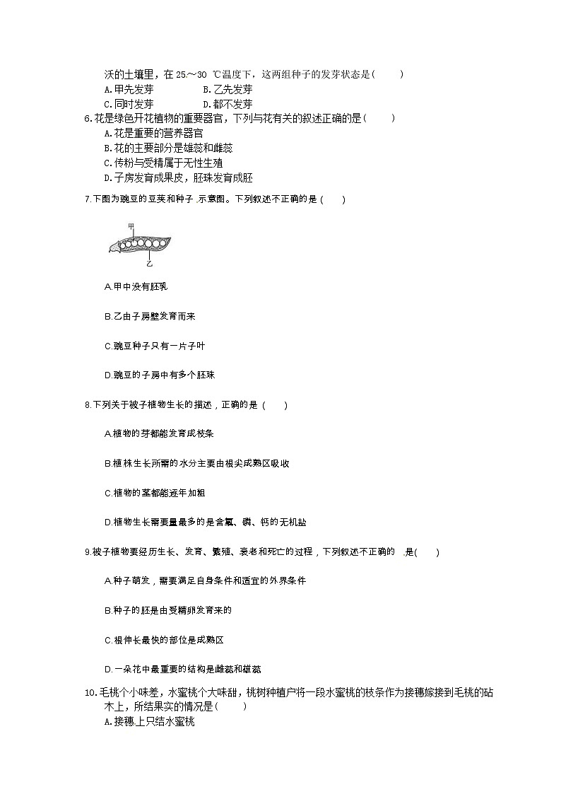 中考生物一轮复习考点梳理06《被子植物的一生》练习卷（含答案）第2页