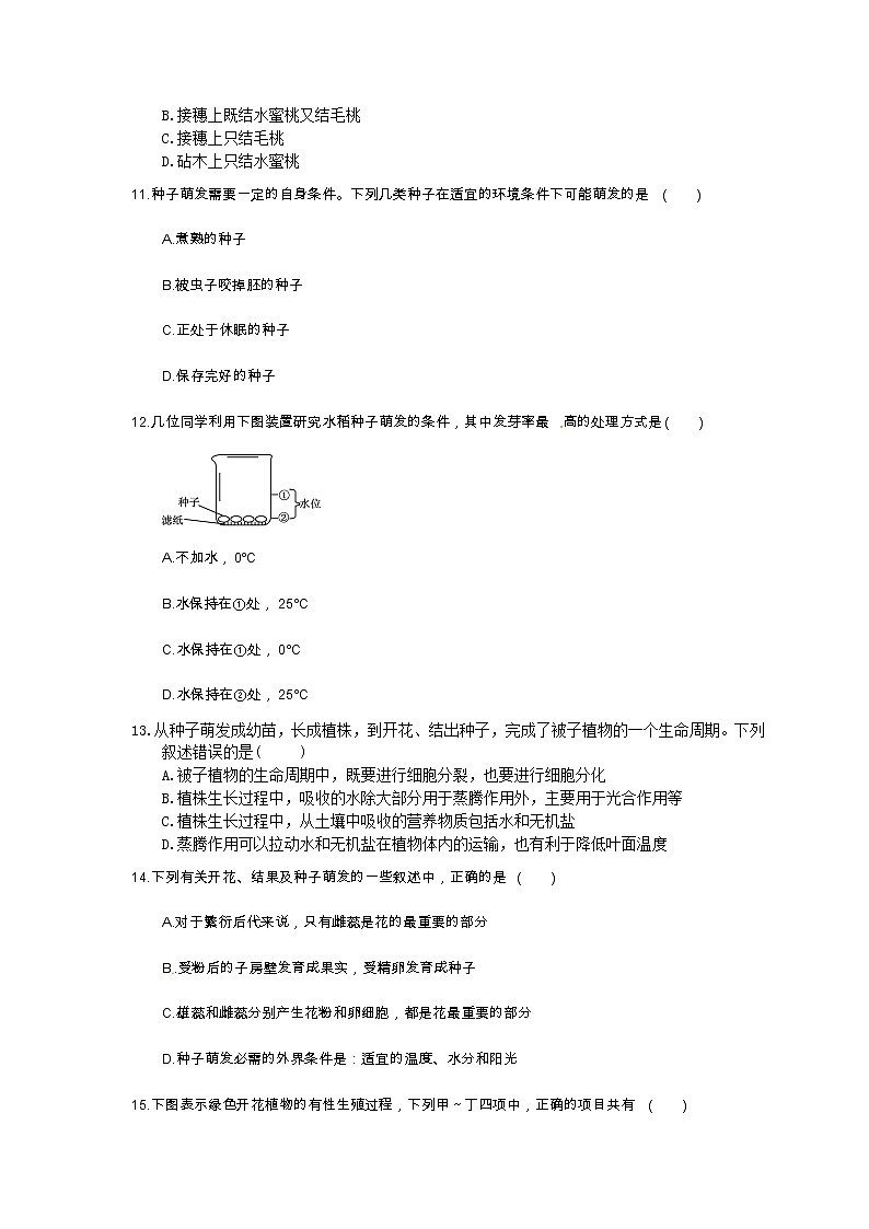 中考生物一轮复习考点梳理06《被子植物的一生》练习卷（含答案）第3页