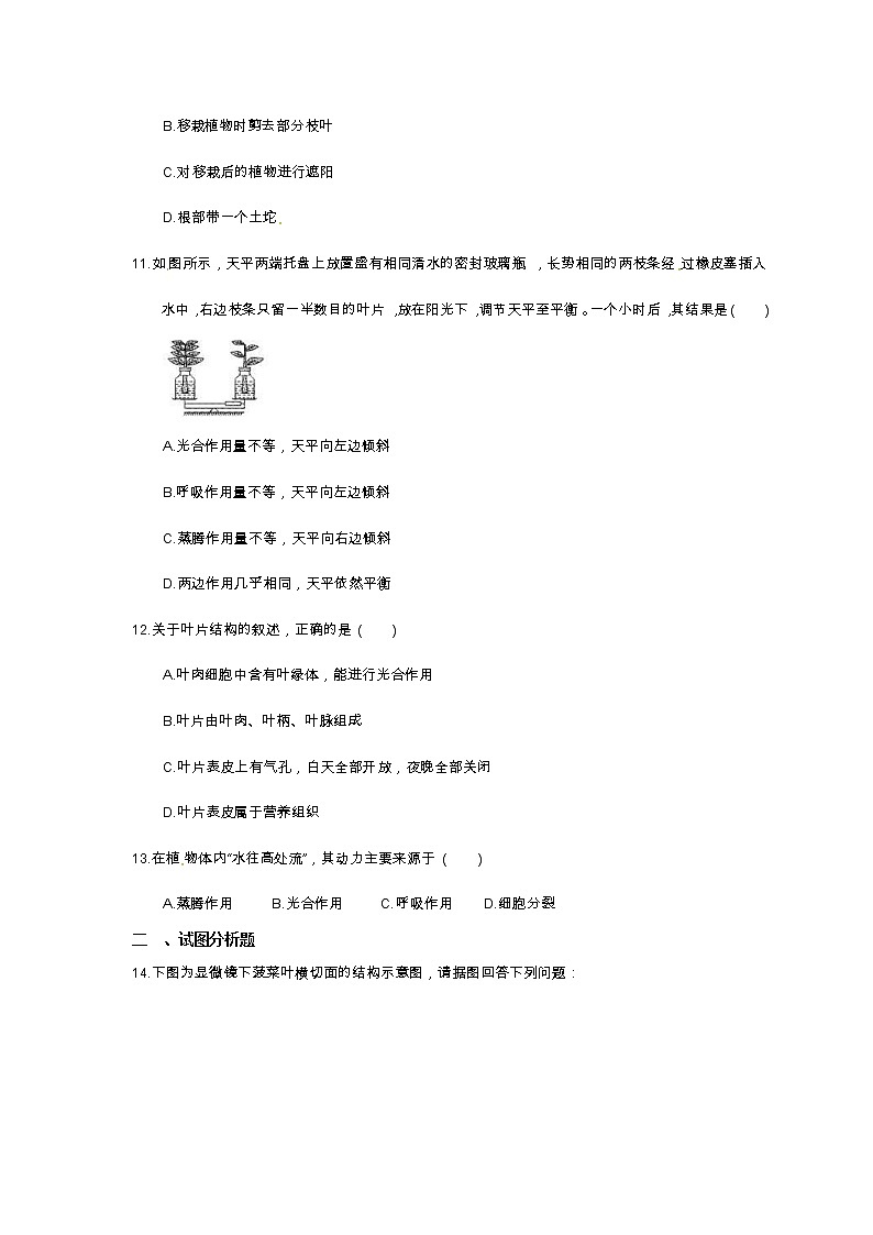 中考生物一轮复习考点梳理07《绿色植物与生物圈的水循环》练习卷（含答案）第3页