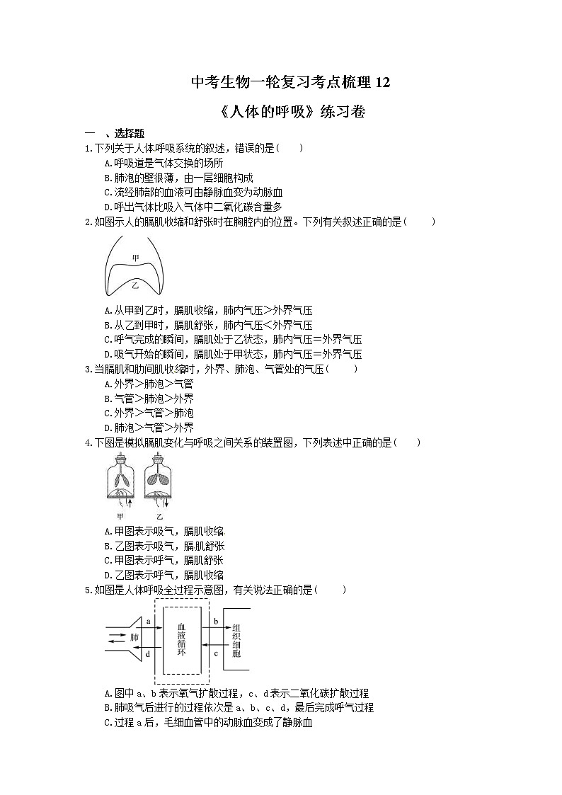 中考生物一轮复习考点梳理12《人体的呼吸》练习卷（含答案）01