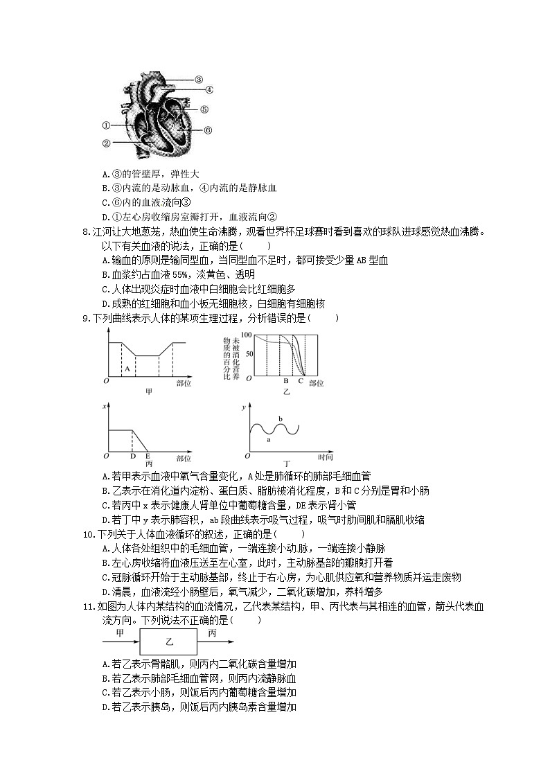 中考生物一轮复习考点梳理13《人体内物质的运输》练习卷（含答案）02