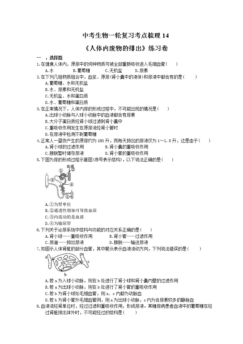 中考生物一轮复习考点梳理14《人体内废物的排出》练习卷（含答案）第1页