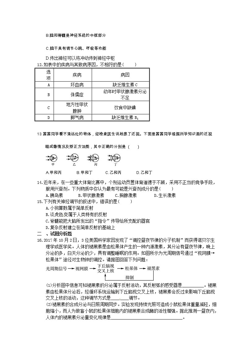中考生物一轮复习考点梳理15《人体生命活动的调节》练习卷（含答案）第3页