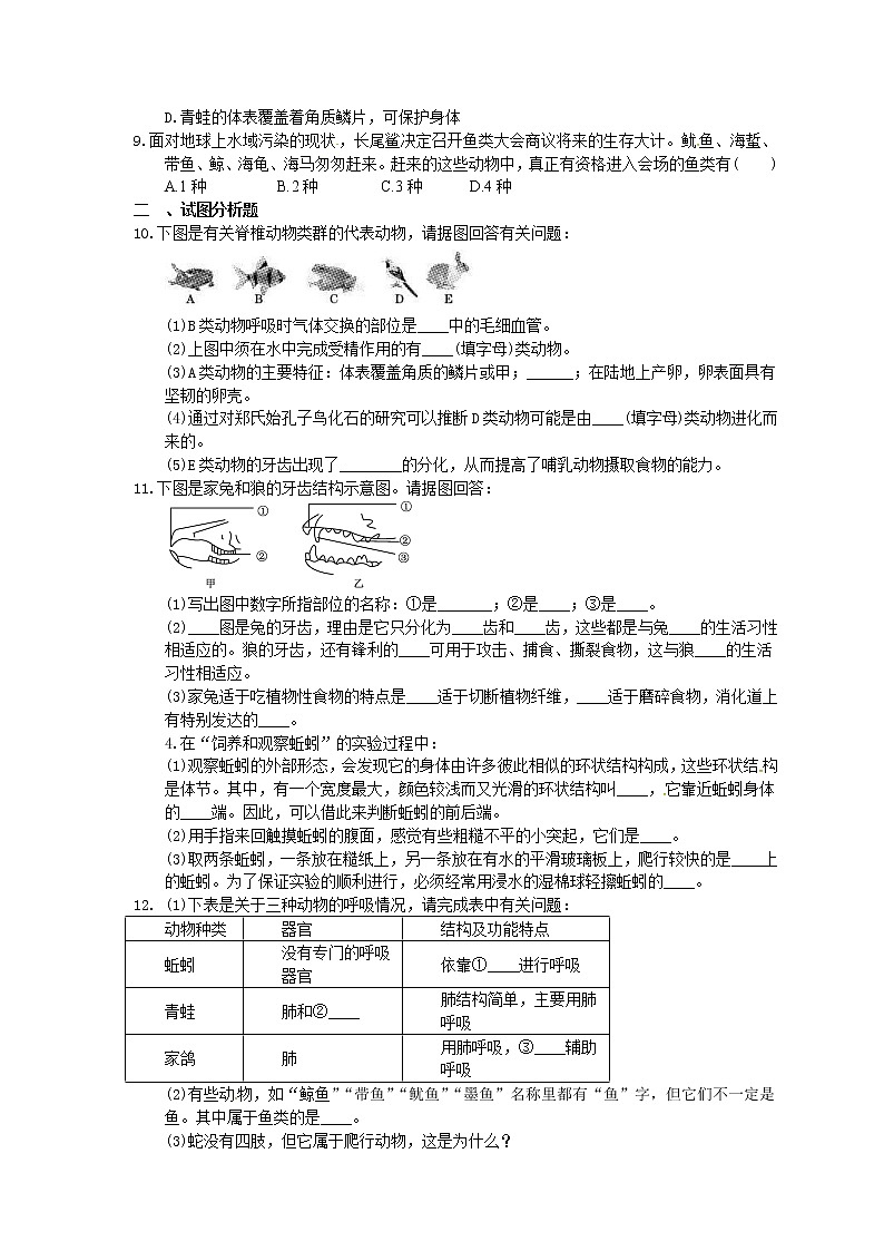 中考生物一轮复习考点梳理17《动物的主要类群》练习卷（含答案）02