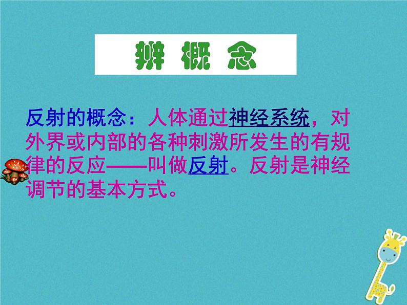 第三节《神经调节的基本方式》课件PPT第4页