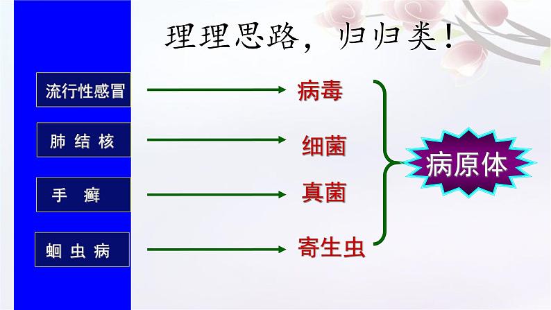 济南版七年级下册生物 6.2传染病及其预防 课件第8页