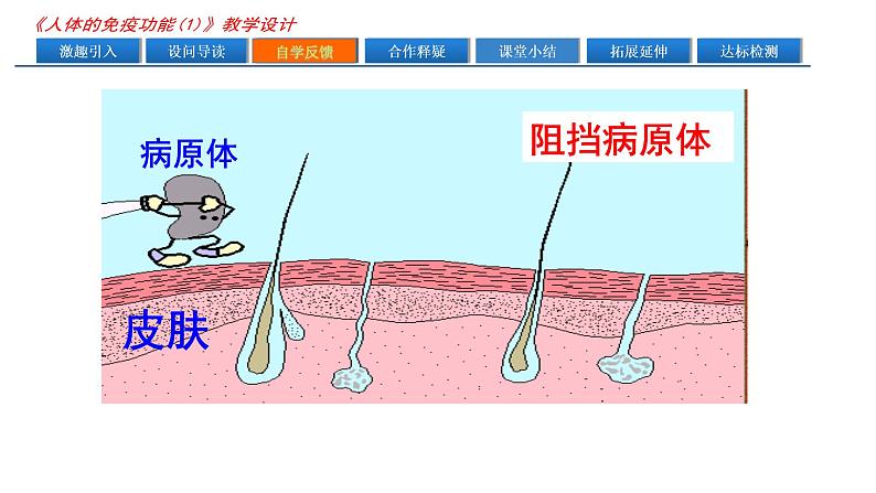 济南版七年级下册生物 6.1人体的免疫功能 课件04