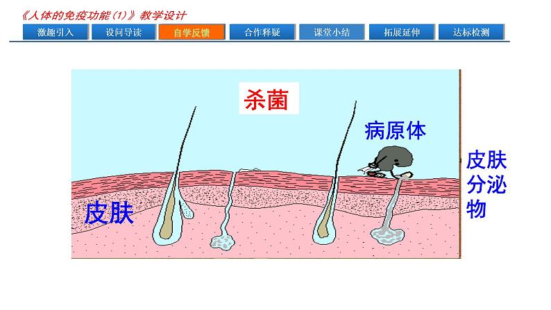 济南版七年级下册生物 6.1人体的免疫功能 课件05