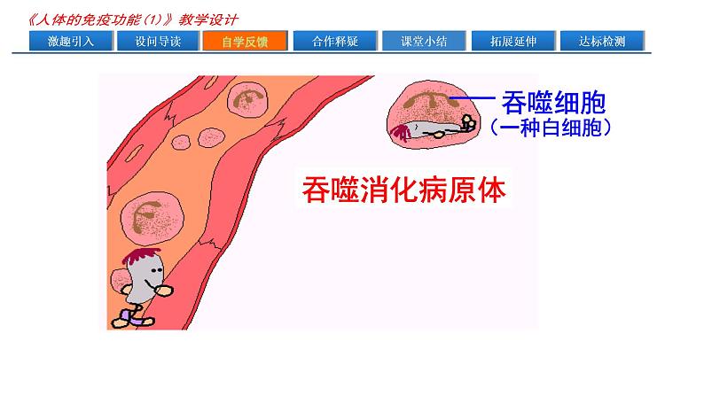 济南版七年级下册生物 6.1人体的免疫功能 课件08