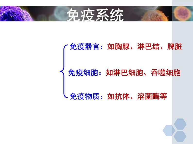 冀教版七年级下册生物 6.1 免疫 课件07