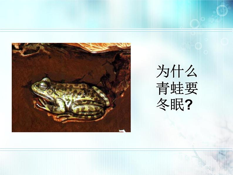 冀教版八年级下册生物  7.1.1环境对生物的影响 课件02