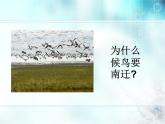 冀教版八年级下册生物  7.1.1环境对生物的影响 课件