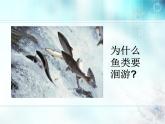 冀教版八年级下册生物  7.1.1环境对生物的影响 课件