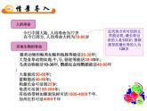 苏教版七年级下册生物 8.1 精卵结合孕育新的生命 课件