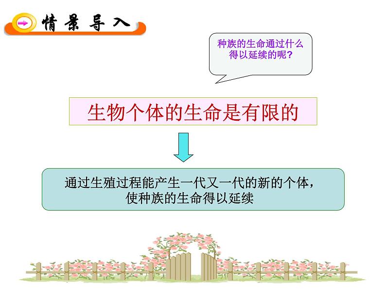 苏教版七年级下册生物 8.1 精卵结合孕育新的生命 课件第2页