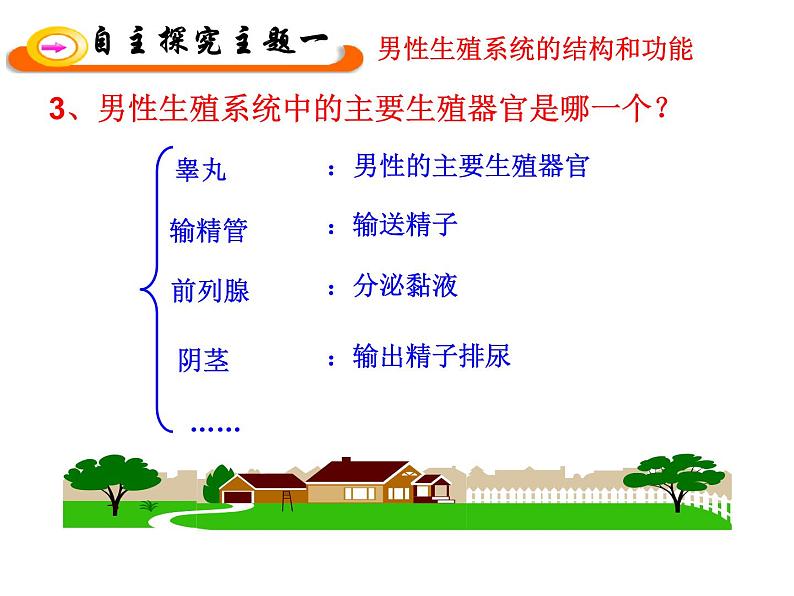 苏教版七年级下册生物 8.1 精卵结合孕育新的生命 课件第7页