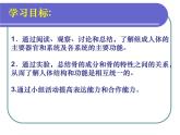 苏教版七年级下册生物 8.3人体概述 课件