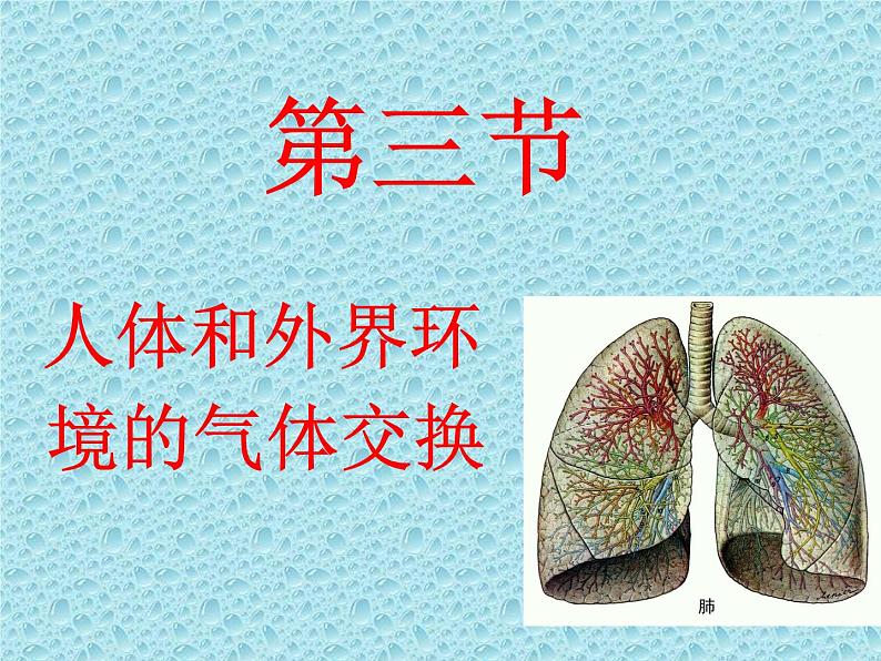 苏教版七年级下册生物 10.3人体和外界环境的气体交换 课件01