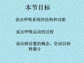 苏教版七年级下册生物 10.3人体和外界环境的气体交换 课件