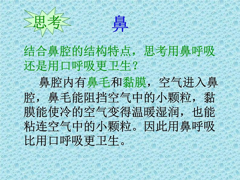 苏教版七年级下册生物 10.3人体和外界环境的气体交换 课件06