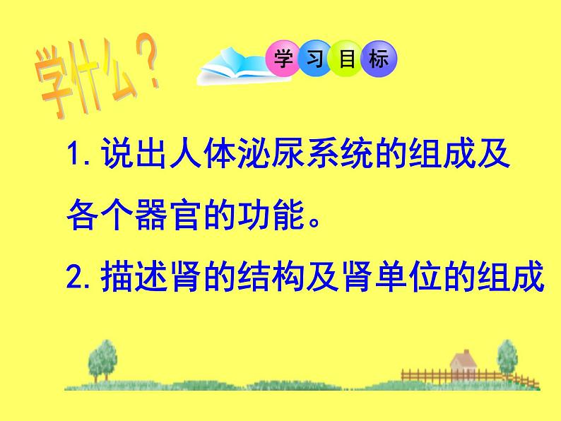 苏教版七年级下册生物 11.1人体泌尿系统的组成 课件02