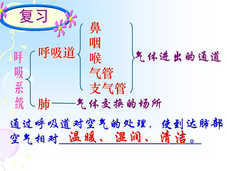 苏教版七年级下册生物 10.4人体内的气体交换 课件03