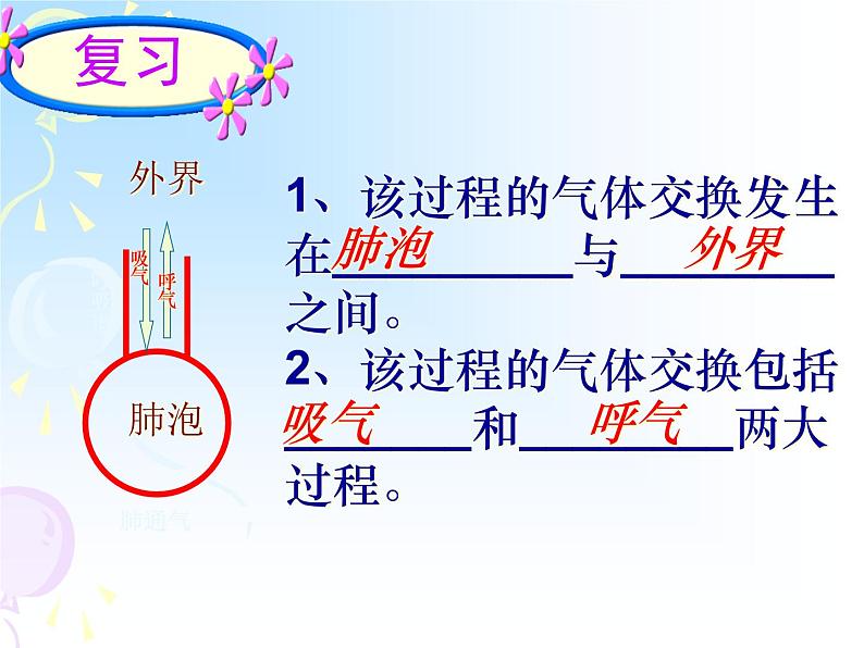 苏教版七年级下册生物 10.4人体内的气体交换 课件04