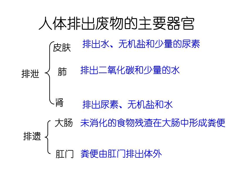 苏教版七年级下册生物 11.2人体废物的排出 课件03