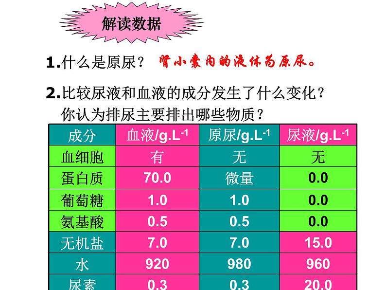 苏教版七年级下册生物 11.2人体废物的排出 课件07
