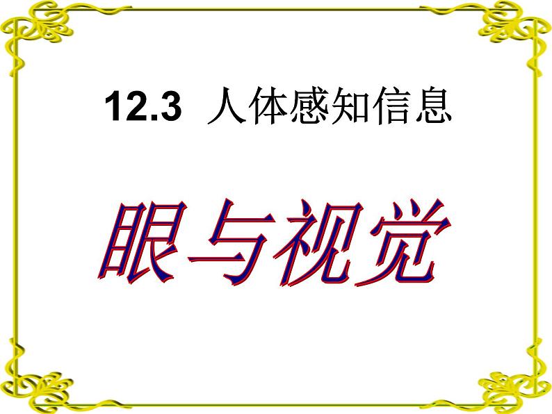 苏教版七年级下册生物 12.3人体感知信息 课件03