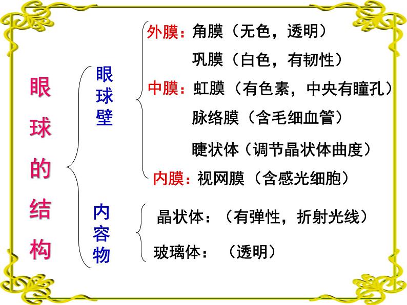 苏教版七年级下册生物 12.3人体感知信息 课件06