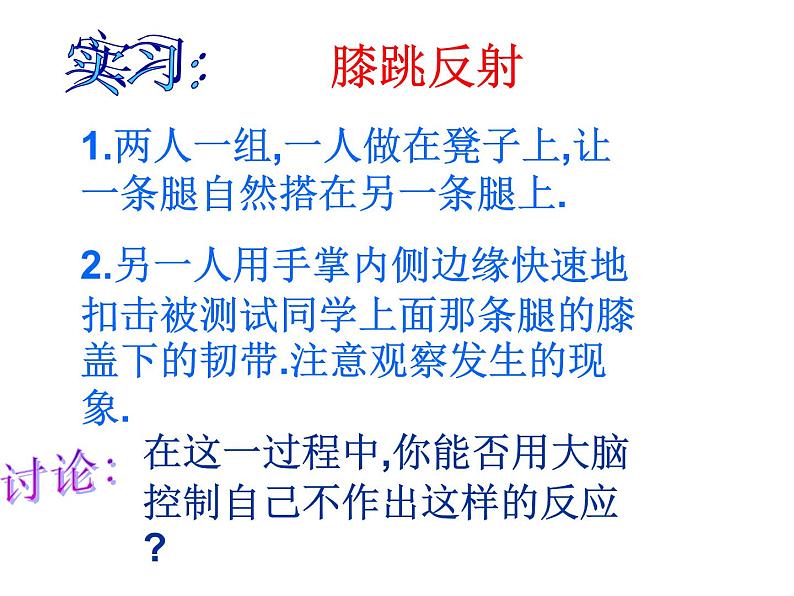 苏教版七年级下册生物 12.2人体的神经调节 课件第4页