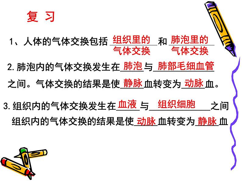 苏教版七年级下册生物 10.5人体能量的供给 课件01