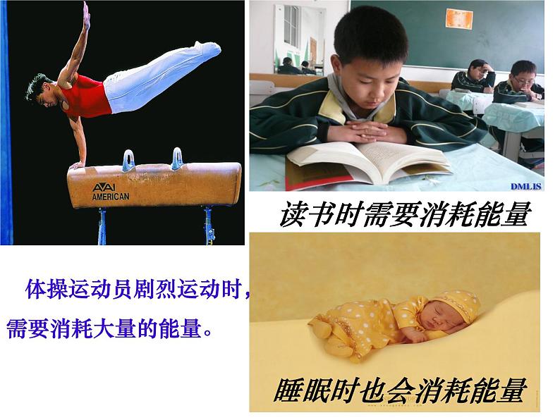 苏教版七年级下册生物 10.5人体能量的供给 课件04