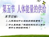 苏教版七年级下册生物 10.5人体能量的供给 课件