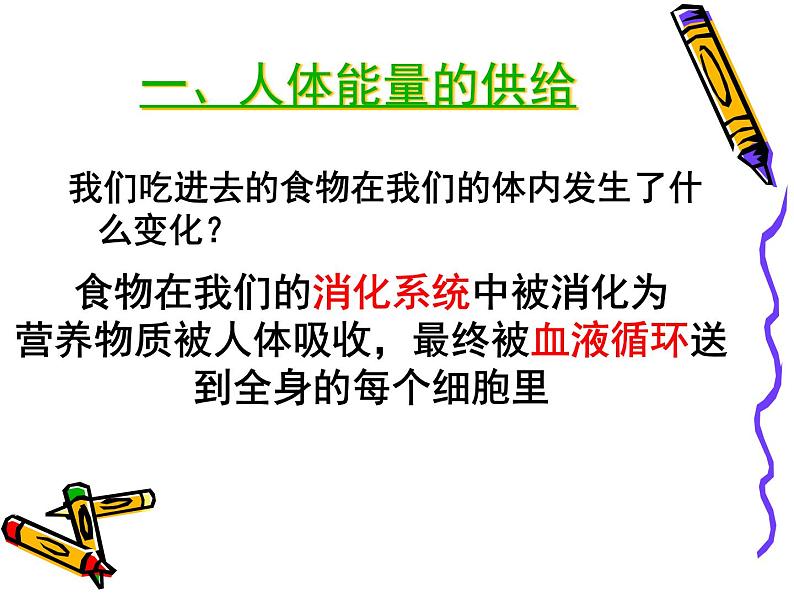 苏教版七年级下册生物 10.5人体能量的供给 课件06