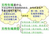 苏教版八年级下册生物 21.1生物的无性生殖 课件