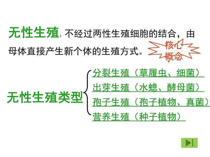 苏教版八年级下册生物 21.1生物的无性生殖 课件第5页