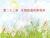 苏教版八年级下册生物 22.5生物的变异 课件