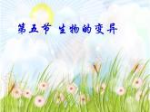 苏教版八年级下册生物 22.5生物的变异 课件
