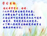 苏教版八年级下册生物 22.5生物的变异 课件
