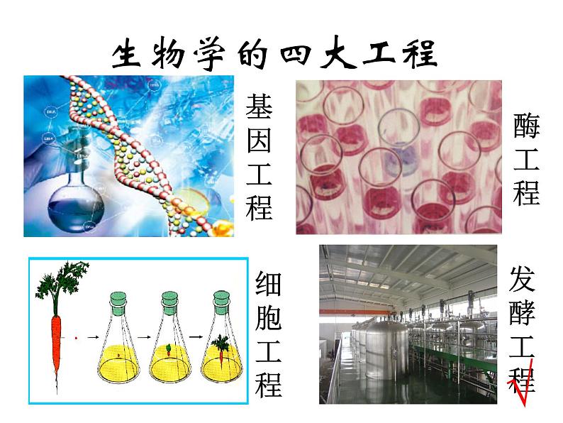 苏教版八年级下册生物 23.1源远流长的发酵技术 课件第3页