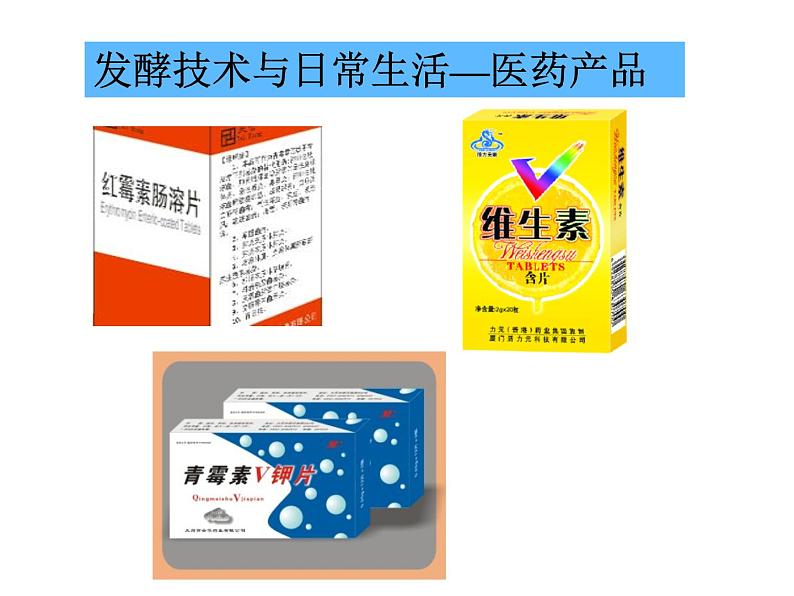 苏教版八年级下册生物 23.1源远流长的发酵技术 课件第8页
